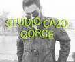 ervin 2008 album 1-studio cazo gorce