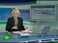 Видеоновость Краснодарский край. В реке найден мертвый крокодил