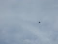Spitfire Flyby