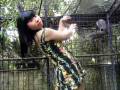 videos de Paloma/Marimar/Rosalinda (Snake woman) message to youtube users