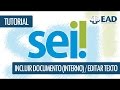  - SEI