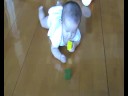 Isaac 努力砌積木