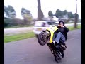 zip sp wheely willemdorp 2 zip sp wheely willemdorp 2