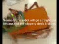 Simple hexapod robot with two servos (part 6)