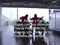viaje a pinguinos