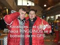 viaje a pinguinos