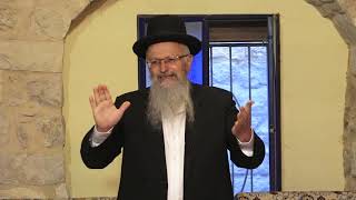 להיות חלק מיציאת מצרים | הרב שמואל אליהו | מדרשת תכלת | ניסן התשפ”א