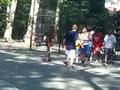 Ballers in Central Park playing Basketball on the court close to the Great Lawn on a sunday.