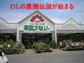 家庭菜園動画9