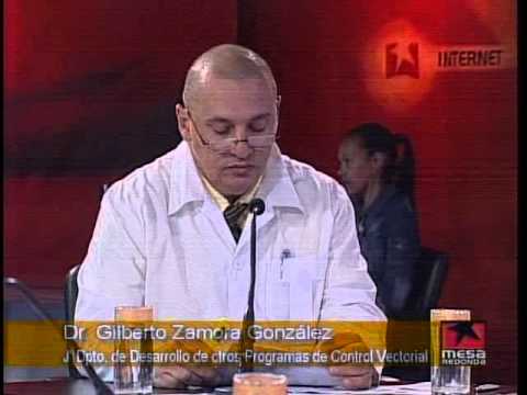 Imagen de previsualización de YouTube