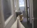Kilroy campaign takes off. . .