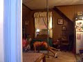 Pole Junkies: Dancin To Music W/O NE Lyrics! pt 1.