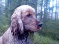 Milton .wmv