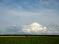 Cumulonimbus Entwicklung