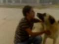 coños 07 chicharrona