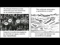 El ataque infame de los cristianos a la ciencia