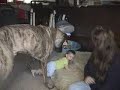 Baby and Dog