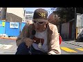 Street Smart Cool Cat Episode 12: How to make an Ollie