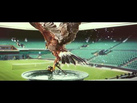 Rufus - The Real Hawk-Eye - Wimbledon 2014