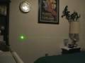 DX 20mW Green laser SKU: 7544