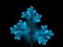 Blauwe Wortels -Intro (DP)