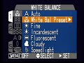 Setting your White Balance Manually Setting your White Balance Manually