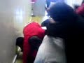 cuauhtla 525 bolita1