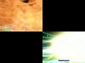 Digimon Savers (Data Squad in US) Burst Evolution