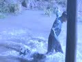 Shawshank Redemption Alternate Ending Shawshank Redemption Alternate Ending
