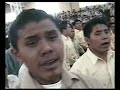 juvenil