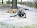taniec z gwiazdami - nowa edycja!!!