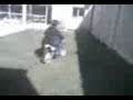 jaja la petia
