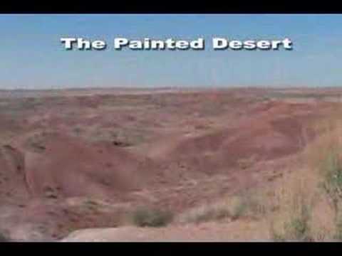 'Petrified Forest National Park