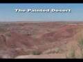 'Petrified Forest National Park - YouTube