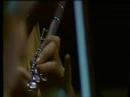Nicolas Rimsky-Korsakov - �Flight of the bumblebee�