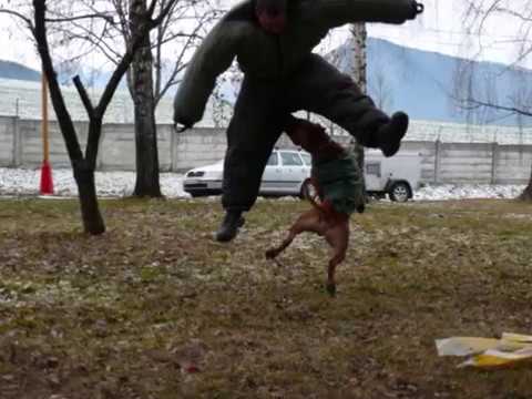 YouTube Трейлер