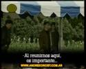 KURT COBAIN-Reunion en Flag Plaza KURT COBAIN-Reunion en Flag Plaza