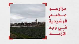 الزراعة في مخيم الرشيدية في ظل الجائحة