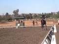 Artesian - Champion Novice dressage round at Galway Downs.