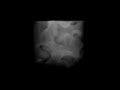 FumeFX by MAXscript noise