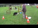 Cath et Zyrtec: vast-jumping feschaux