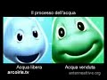 intervista doppia: Acqua libera, Acqua venduta