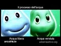 intervista doppia: Acqua libera, Acqua venduta