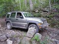 Stock liberty on KY trails