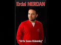 erdal merdan eserler