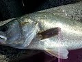 CIMG5225.AVI