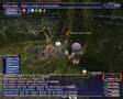 FFXI WSNM - Yallery Brown