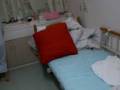 videos de funubashi clinic at room purisha
