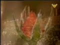 Dua e Kumayl part 1 of  3