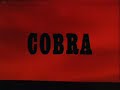 Facts from Cobretti